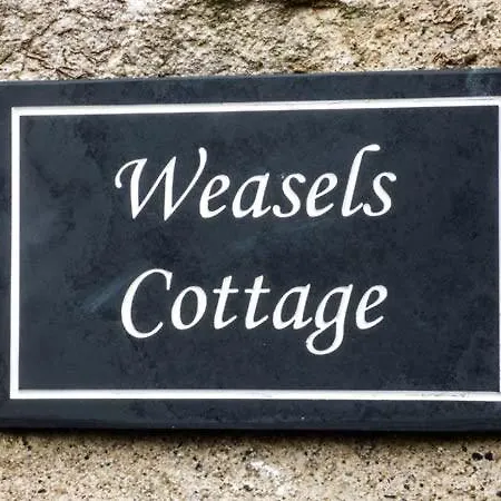 Weasels